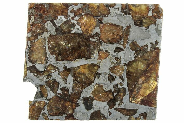 Brahin Pallasite Meteorite ( g) Slice - Belarus #307391